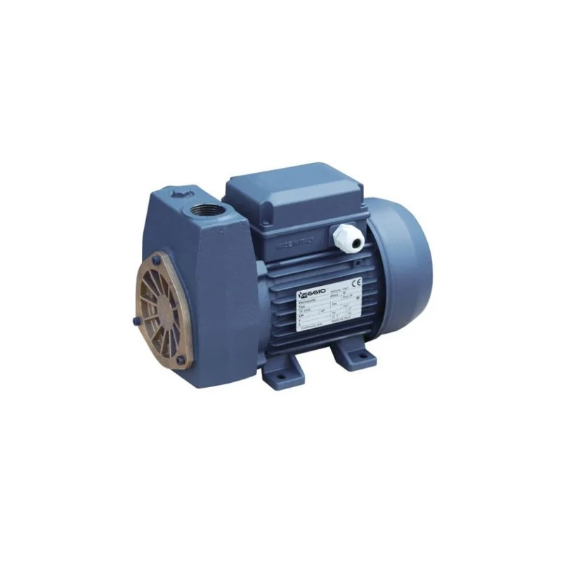 Bomba Stal80  0.8 Hp  220V